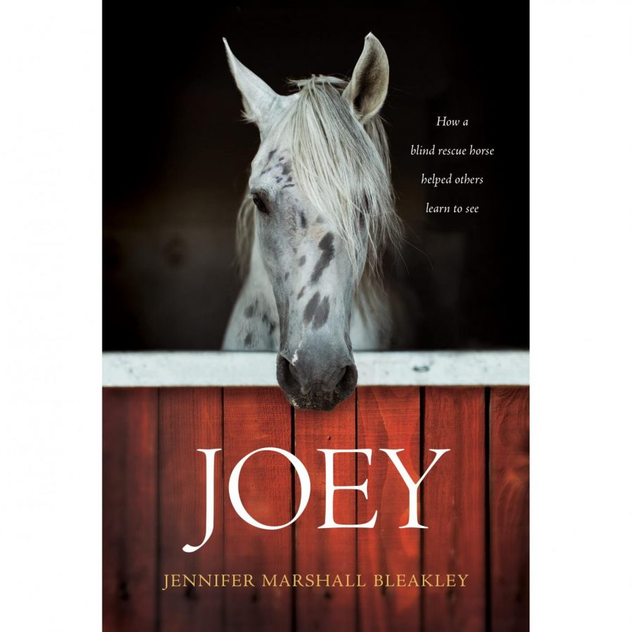 Book+cover+for+the+story+Joey%3A+How+a+Blind+Rescue+Horse+Helped+Others+Learn+to+See+by+Jennifer+Marshall+Bleakley.