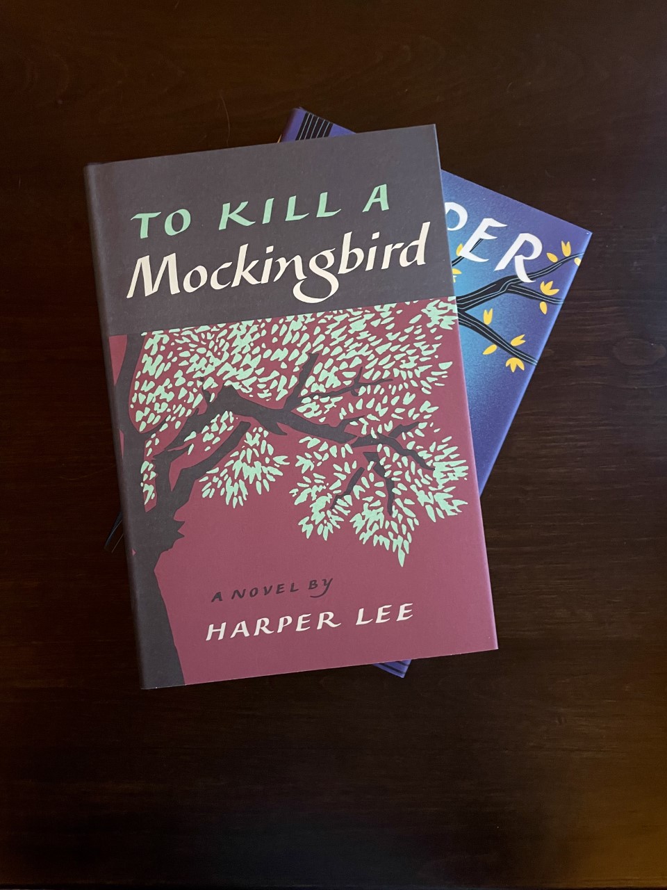 Teaching “Mockingbird” is a must in today’s racial climate – Orange R